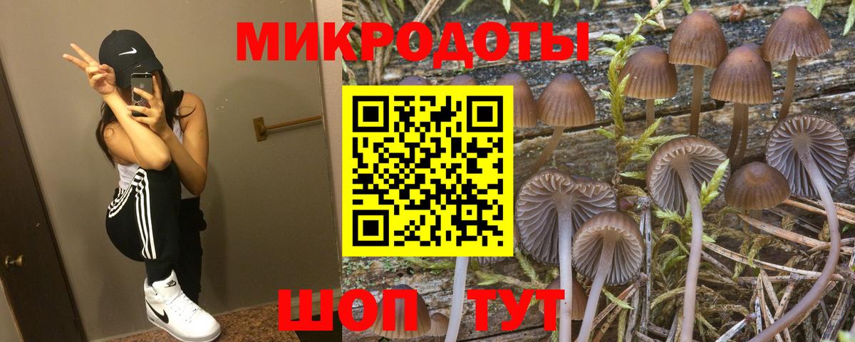 Псилоцибиновые грибы мицелий Каспийск